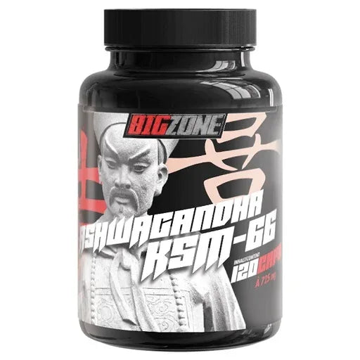 Big Zone Ashwagandha KSM-66 120 Kapseln - Lozipper 